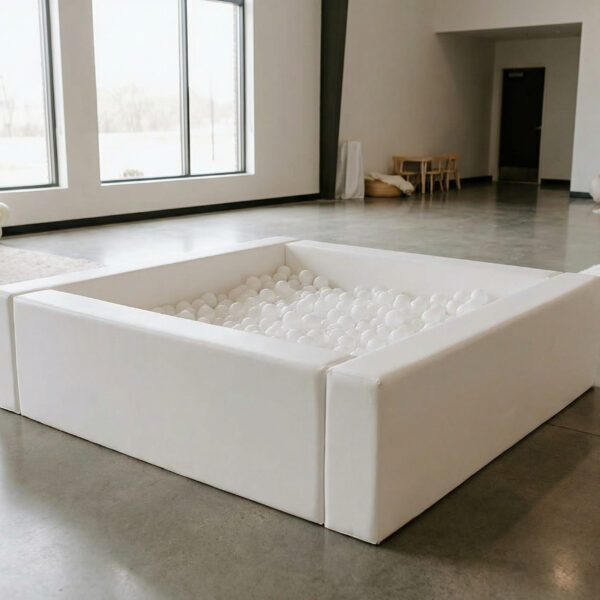 Luxury Ball Pit Experience